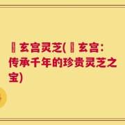 炁玄宫灵芝(炁玄宫：传承千年的珍贵灵芝之宝)