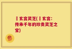 炁玄宫灵芝(炁玄宫：传承千年的珍贵灵芝之宝)