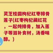 灵芝桂圆枸杞红枣排骨莲子(红枣枸杞藏红花，一起炖排骨，加入莲子等滋补食材，汤香味醇。)
