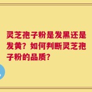 灵芝孢子粉是发黑还是发黄？如何判断灵芝孢子粉的品质？