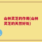 山林灵芝的作用(山林灵芝的天然好处)