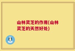 山林灵芝的作用(山林灵芝的天然好处)