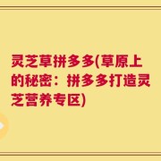 灵芝草拼多多(草原上的秘密：拼多多打造灵芝营养专区)