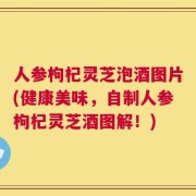 人参枸杞灵芝泡酒图片(健康美味，自制人参枸杞灵芝酒图解！)
