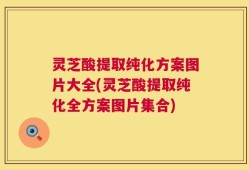 灵芝酸提取纯化方案图片大全(灵芝酸提取纯化全方案图片集合)