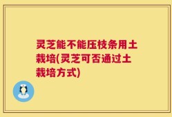 灵芝能不能压枝条用土栽培(灵芝可否通过土栽培方式)