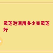 灵芝泡酒用多少克灵芝好