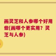 画灵芝和人参哪个好用些(画哪个更实用？灵芝与人参)