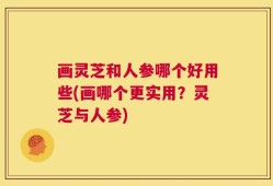画灵芝和人参哪个好用些(画哪个更实用？灵芝与人参)