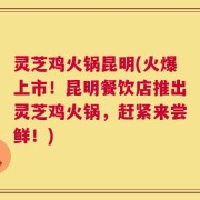 灵芝鸡火锅昆明(火爆上市！昆明餐饮店推出灵芝鸡火锅，赶紧来尝鲜！)