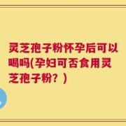 灵芝孢子粉怀孕后可以喝吗(孕妇可否食用灵芝孢子粉？)