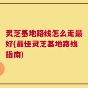 灵芝基地路线怎么走最好(最佳灵芝基地路线指南)