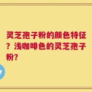 灵芝孢子粉的颜色特征？浅咖啡色的灵芝孢子粉？