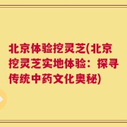 北京体验挖灵芝(北京挖灵芝实地体验：探寻传统中药文化奥秘)