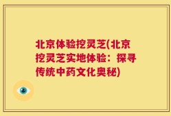 北京体验挖灵芝(北京挖灵芝实地体验：探寻传统中药文化奥秘)