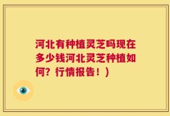 河北有种植灵芝吗现在多少钱河北灵芝种植如何？行情报告！)
