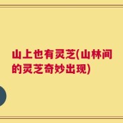 山上也有灵芝(山林间的灵芝奇妙出现)