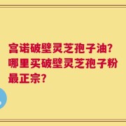 宫诺破壁灵芝孢子油？哪里买破壁灵芝孢子粉最正宗？