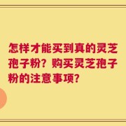 怎样才能买到真的灵芝孢子粉？购买灵芝孢子粉的注意事项？