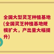 全国大型灵芝种植基地(全国灵芝种植基地规模扩大，产出量大幅提升)