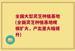 全国大型灵芝种植基地(全国灵芝种植基地规模扩大，产出量大幅提升)