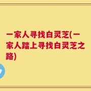 一家人寻找白灵芝(一家人踏上寻找白灵芝之路)