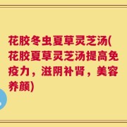 花胶冬虫夏草灵芝汤(花胶夏草灵芝汤提高免疫力，滋阴补肾，美容养颜)
