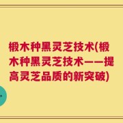 椴木种黑灵芝技术(椴木种黑灵芝技术——提高灵芝品质的新突破)