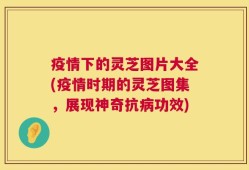 疫情下的灵芝图片大全(疫情时期的灵芝图集，展现神奇抗病功效)