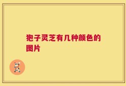 狍子灵芝有几种颜色的图片