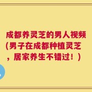 成都养灵芝的男人视频(男子在成都种植灵芝，居家养生不错过！)