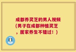 成都养灵芝的男人视频(男子在成都种植灵芝，居家养生不错过！)