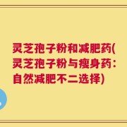 灵芝孢子粉和减肥药(灵芝孢子粉与瘦身药：自然减肥不二选择)