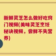 新鲜灵芝怎么做好吃窍门视频(美味灵芝烹饪秘诀视频，尝鲜不失营养)
