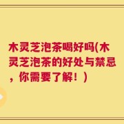 木灵芝泡茶喝好吗(木灵芝泡茶的好处与禁忌，你需要了解！)