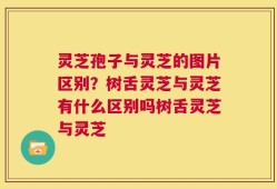 灵芝孢子与灵芝的图片区别？树舌灵芝与灵芝有什么区别吗树舌灵芝与灵芝