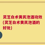 灵芝白术黄芪泡酒功效(灵芝白术黄芪泡酒的好处)