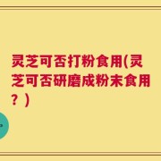 灵芝可否打粉食用(灵芝可否研磨成粉末食用？)