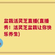 盆栽活灵芝直播(直播秀！活灵芝盆栽让你快乐养生)
