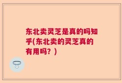 东北卖灵芝是真的吗知乎(东北卖的灵芝真的有用吗？)