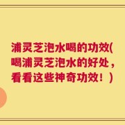 浦灵芝泡水喝的功效(喝浦灵芝泡水的好处，看看这些神奇功效！)