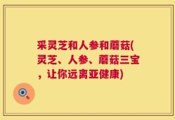 采灵芝和人参和蘑菇(灵芝、人参、蘑菇三宝，让你远离亚健康)