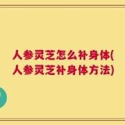 人参灵芝怎么补身体(人参灵芝补身体方法)