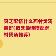 灵芝配搭什么药材煲汤最好(灵芝最佳搭配药材煲汤推荐)