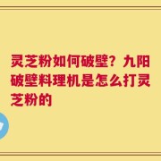 灵芝粉如何破壁？九阳破壁料理机是怎么打灵芝粉的