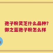 孢子粉灵芝什么品种？御之蓝孢子粉怎么样