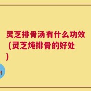 灵芝排骨汤有什么功效 (灵芝炖排骨的好处)