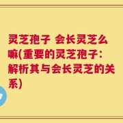 灵芝孢子 会长灵芝么嘛(重要的灵芝孢子：解析其与会长灵芝的关系)
