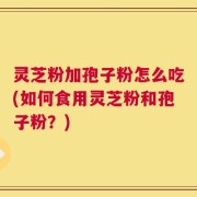 灵芝粉加孢子粉怎么吃(如何食用灵芝粉和孢子粉？)