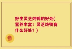 野生灵芝炖鸭的好处(营养丰富！灵芝炖鸭有什么好处？)